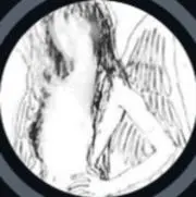 2525の画像