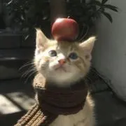 つきの画像