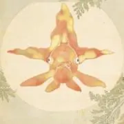 まゆみの画像