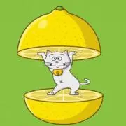 れもんのいれもんの画像