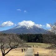 Chilitomatoの画像