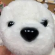 おもち