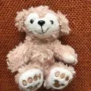 pokoの画像