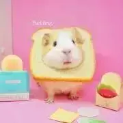 YUKAの画像