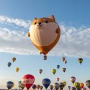 happyの画像