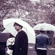 ヨッシーの画像