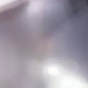 幸の画像