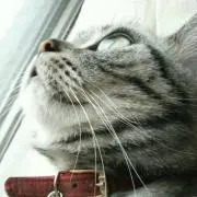 よちこ☺︎︎プロフ必読☺︎︎の画像