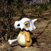 ゆず