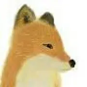 キタキツネの画像