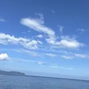 sanapの画像