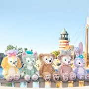 oxo‎ •.❥の画像