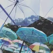 はる（プロフィール必読！！）の画像