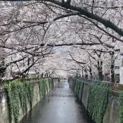 トモ