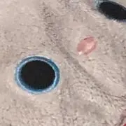 mi