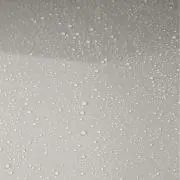 あにょの画像
