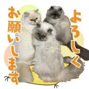 Mar【購入時はプロフ読んでください】の画像