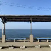 やすけんの画像