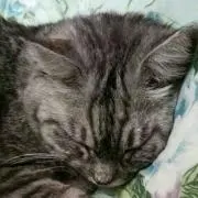 みやび　プロフ必読