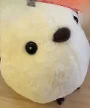 晴の画像