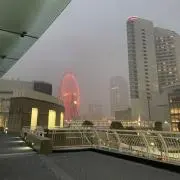 プロフィール必読　即日発送、元箱無し多いの画像
