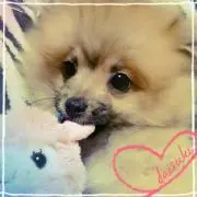 まろろん☆こめください