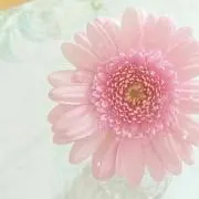 minmiの画像