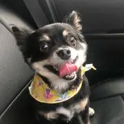 HNWの画像
