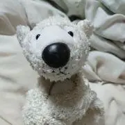 kit*の画像