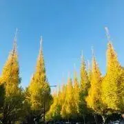 Aの画像