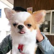 なっちゃん∞  ★★プロフィール必読★★