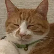 youの画像
