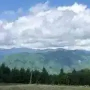 あめ【※プロフィールに注意点記載あり】の画像