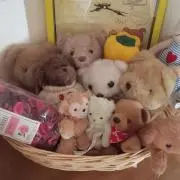 じゅみの画像