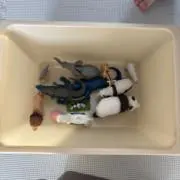 ゆかけんの画像