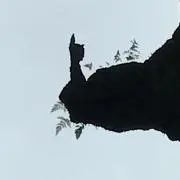 むーの画像