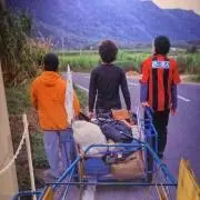 カクタスの画像