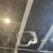 mo.mo.の画像