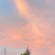 youの画像
