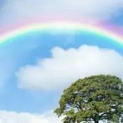 el_doradoの画像