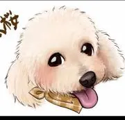 タロペの画像