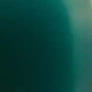 リトベガ