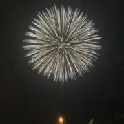 たくの画像