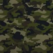 サムの画像