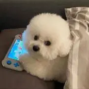 りんの画像