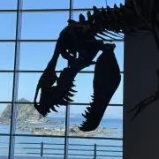 ユンの画像