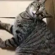 hitomiプロフ読んでくださいの画像