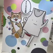 メタモンの画像