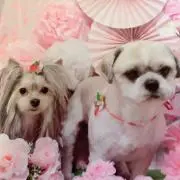 ルナ