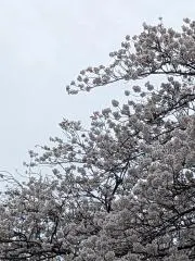 マットレス島崎の画像